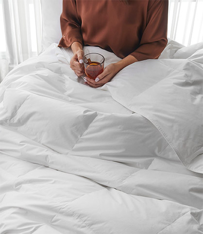 Penghibur & Duvet