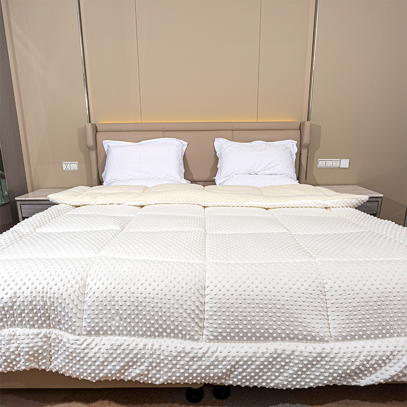 Minky Dots Lamb Fleece Comforter, Fabrik Double Super Soft Lembut Duvet Velvet Tebal Musim Sejuk Musim Sejuk Selimut Mewah Mewah Mewah Fleece Musim Sejuk